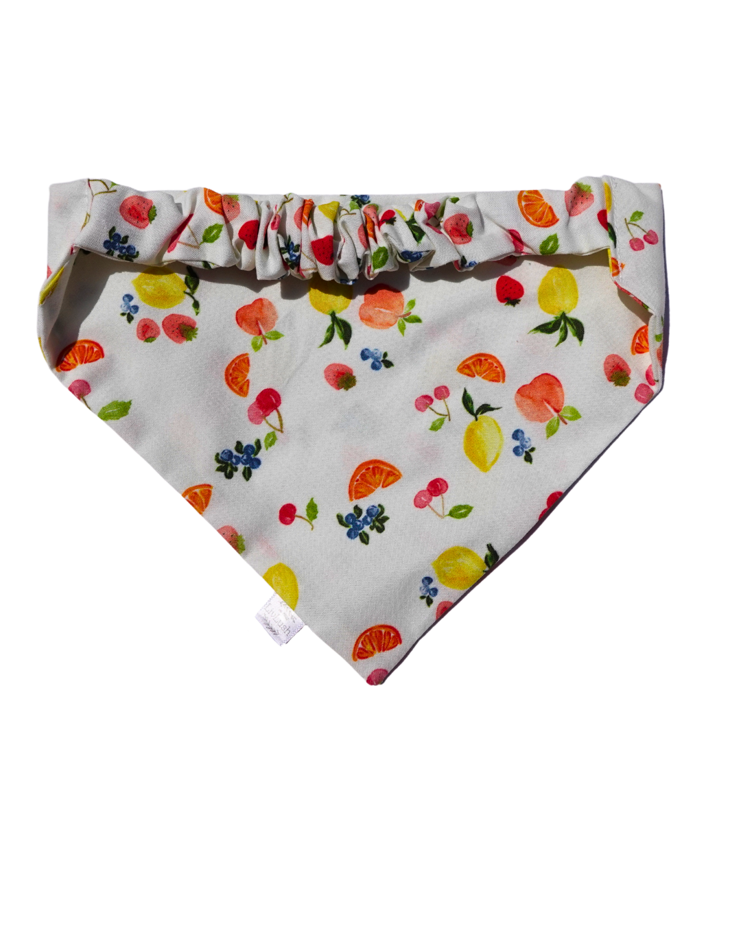 Fruit Salad Dog Scruffie