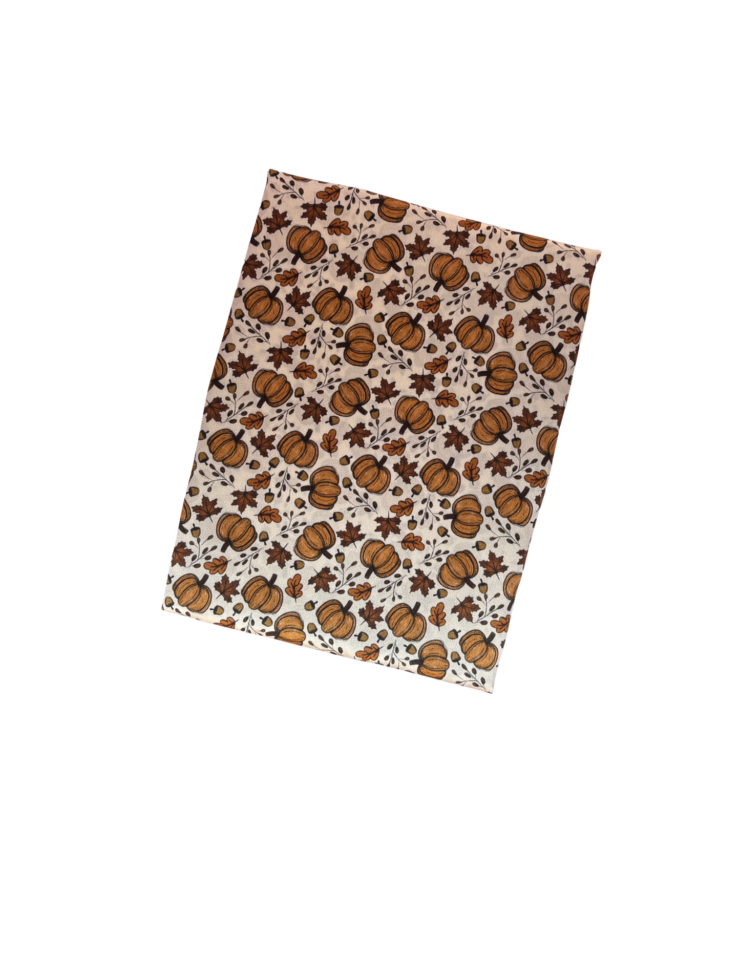 Mulberry Silk Pillow Case