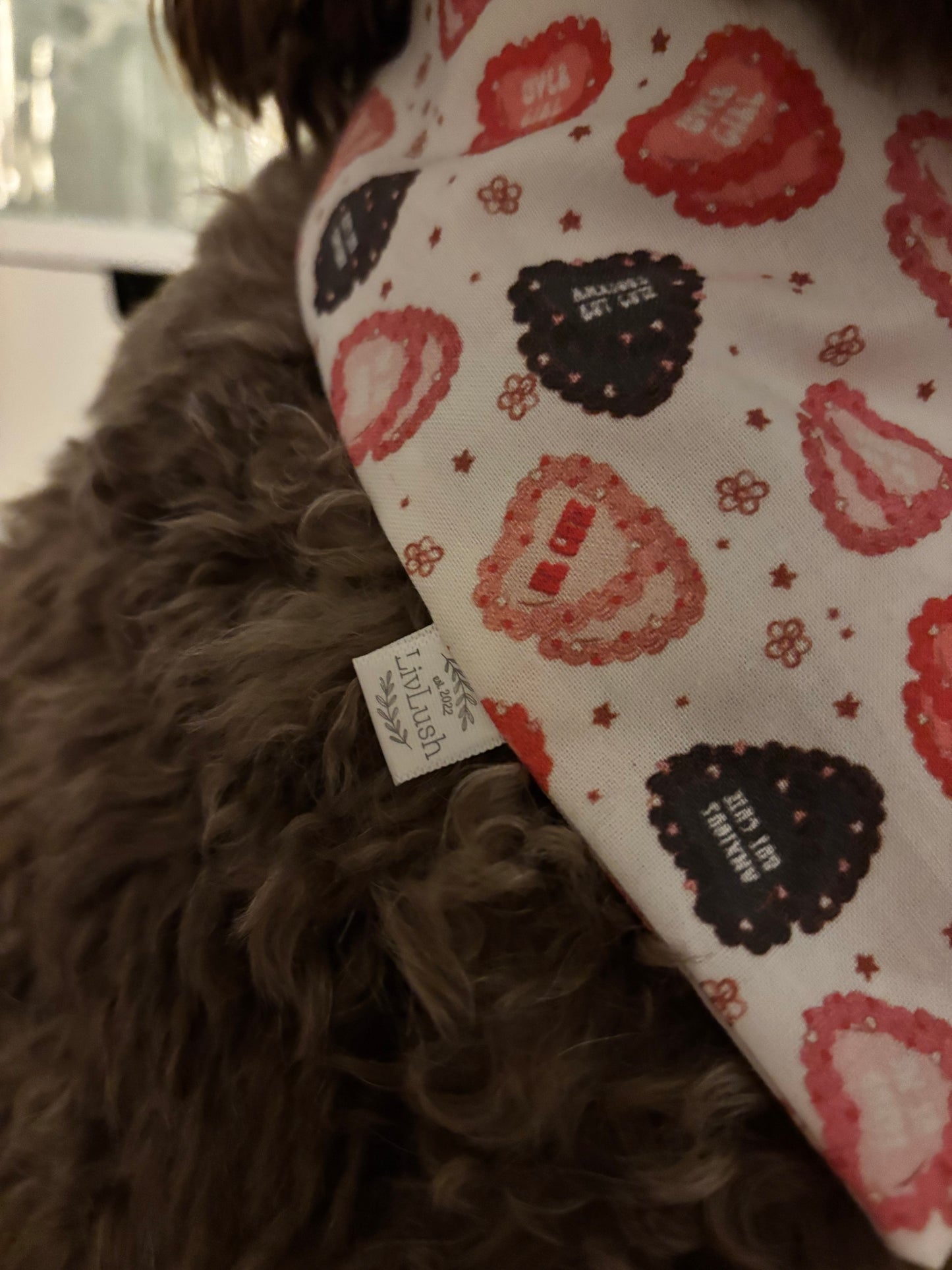 heart cake dog scruffie