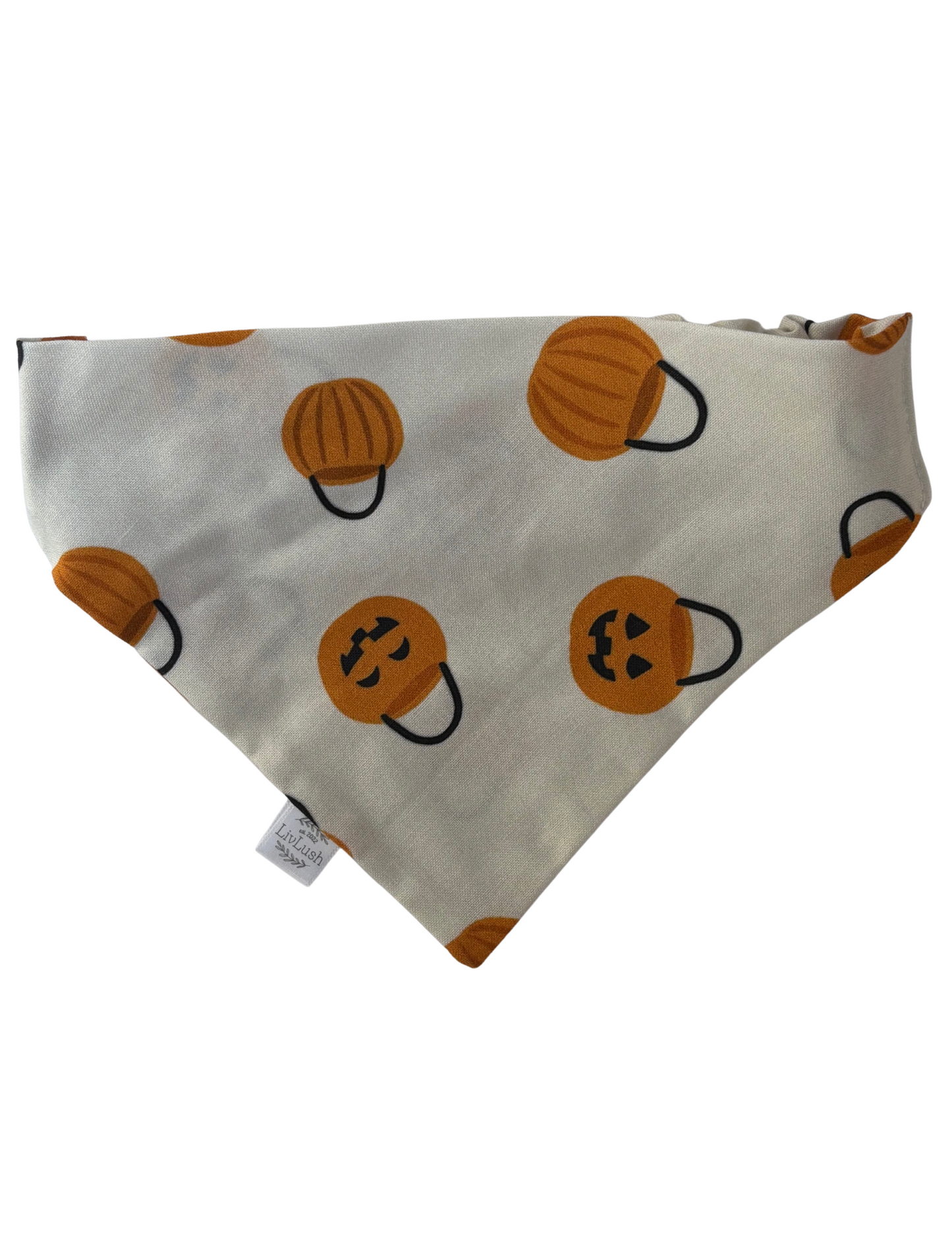Trick or Treat Dog Scruffie