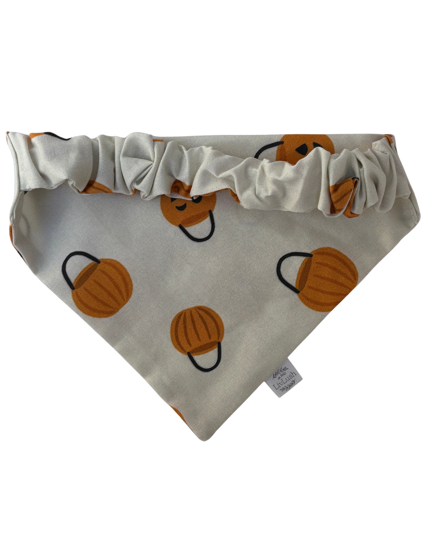 Trick or Treat Dog Scruffie