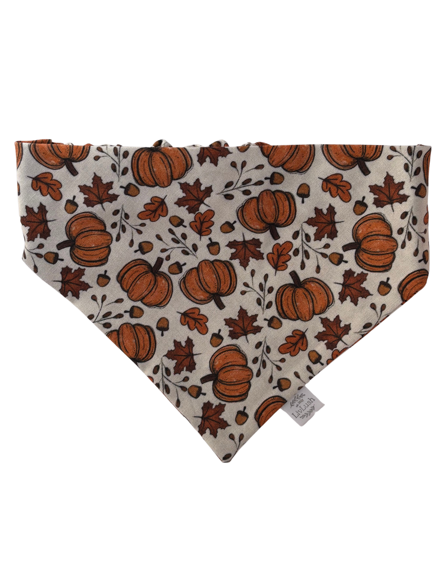 Perfect Pumpkin Dog Scruffie