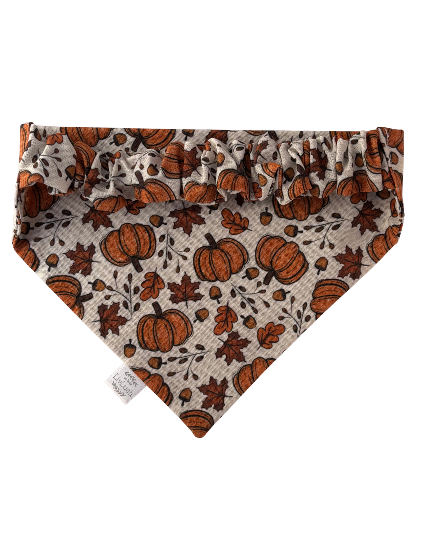 Perfect Pumpkin Dog Scruffie