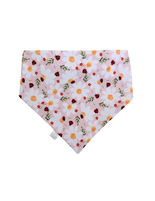 Ladybug Garden Scruffie