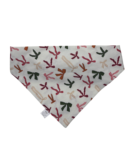 Beautiful Bow Dog Scruffie