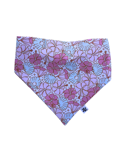 Coastal Dreams Scruffie