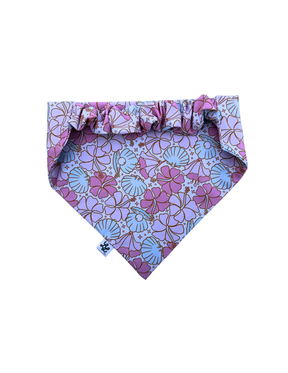Coastal Dreams Scruffie