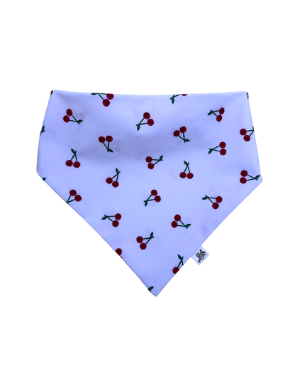 Sweet Cherry Scruffie
