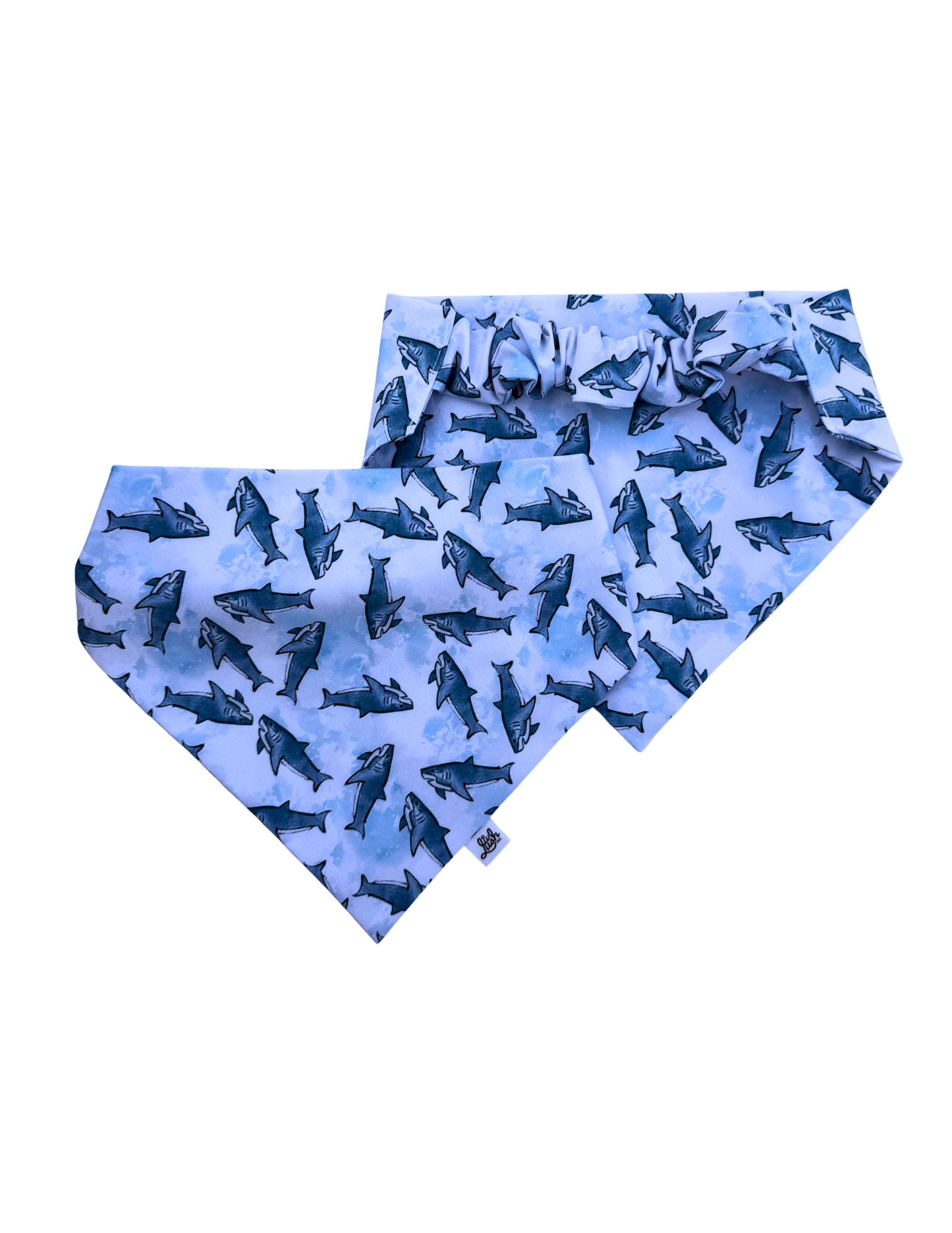 Sassy Shark Scruffie