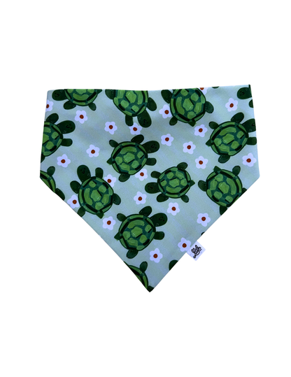 Smiley Turtle Scruffie