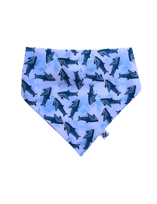 Sassy Shark Scruffie