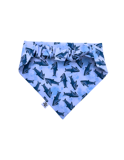 Sassy Shark Scruffie