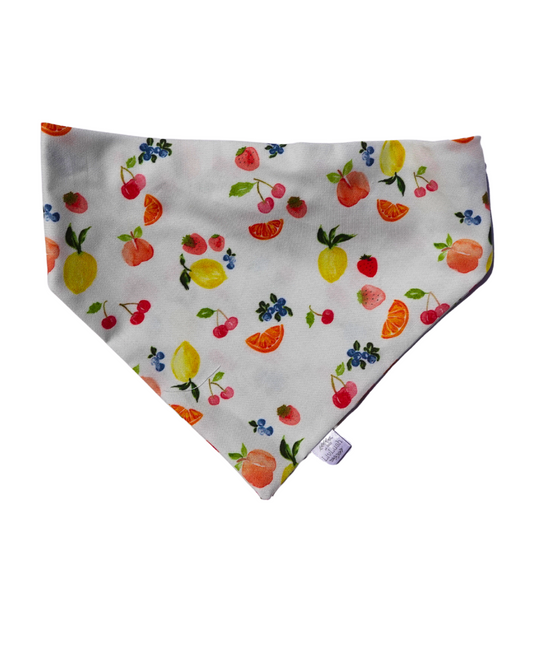 Fruit Salad Dog Scruffie