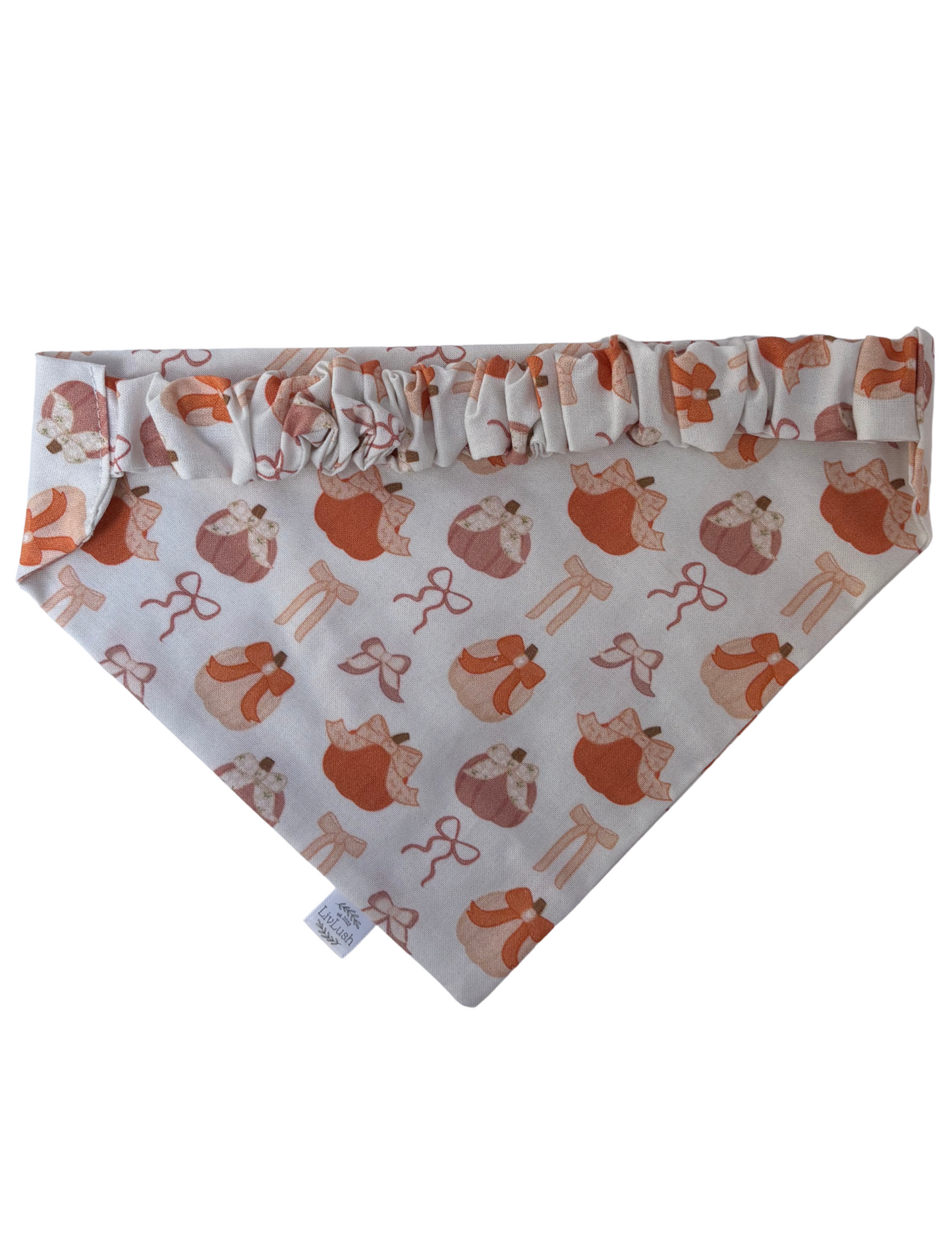 Coquette Bow Pumpkin Dog Scruffie