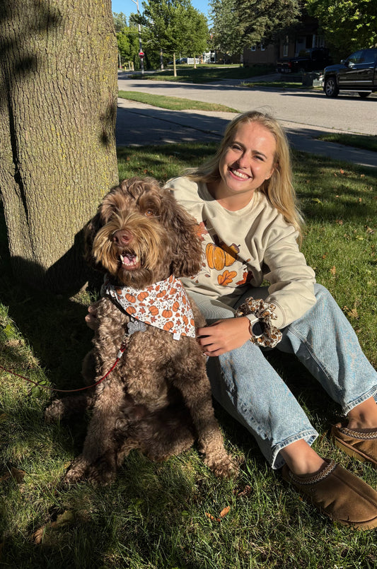 Perfect Pumpkin Sweater