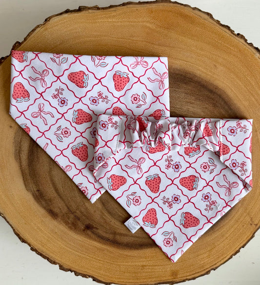 Strawberry and Bows Dog Scruffie
