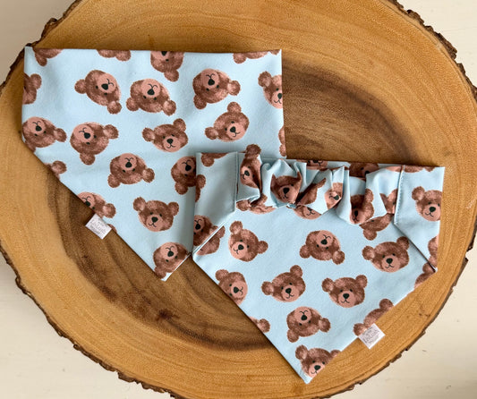 Blue Bear Dog Scruffie