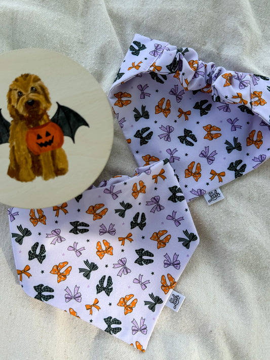 Spooky Bow Scruffie