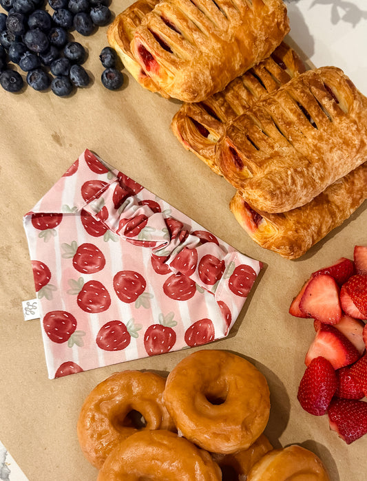 Strawberry Picnic Scruffie