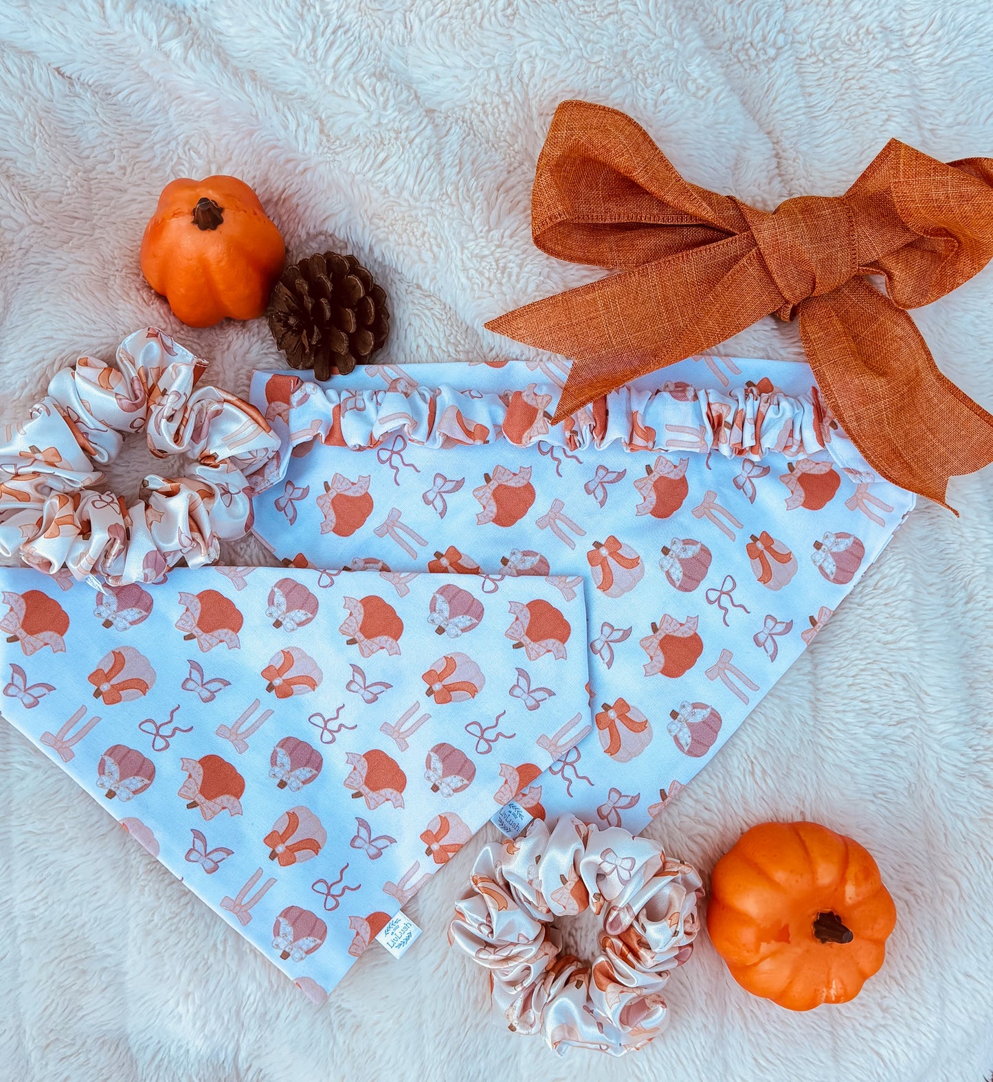 Coquette Bow Pumpkin Dog Scruffie