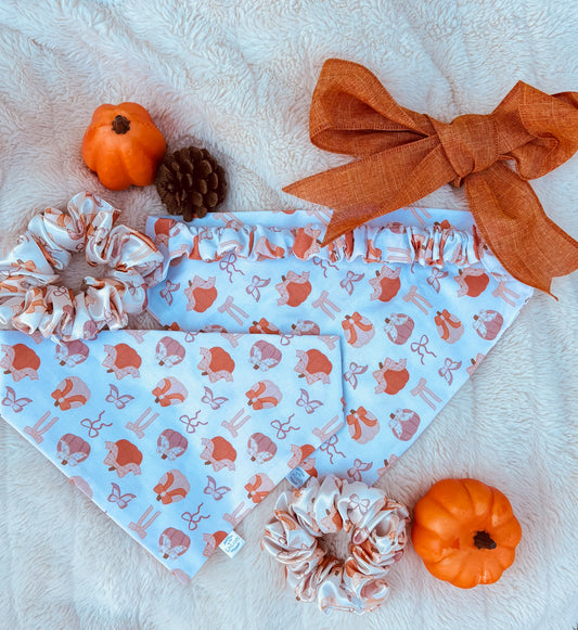 Coquette Bow Pumpkin Dog Scruffie