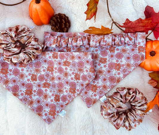 Fall Blossom Dog Scruffie