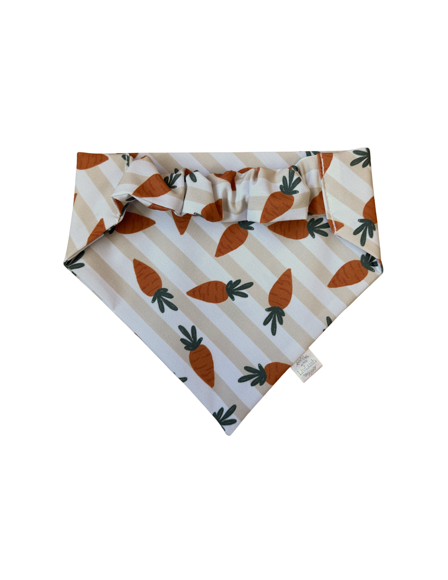 Cute Carrot Dog Scruffie