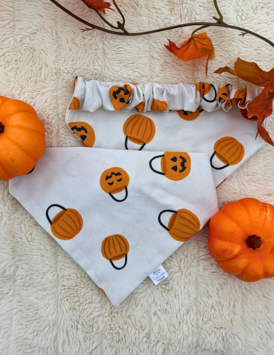 Trick or Treat Dog Scruffie
